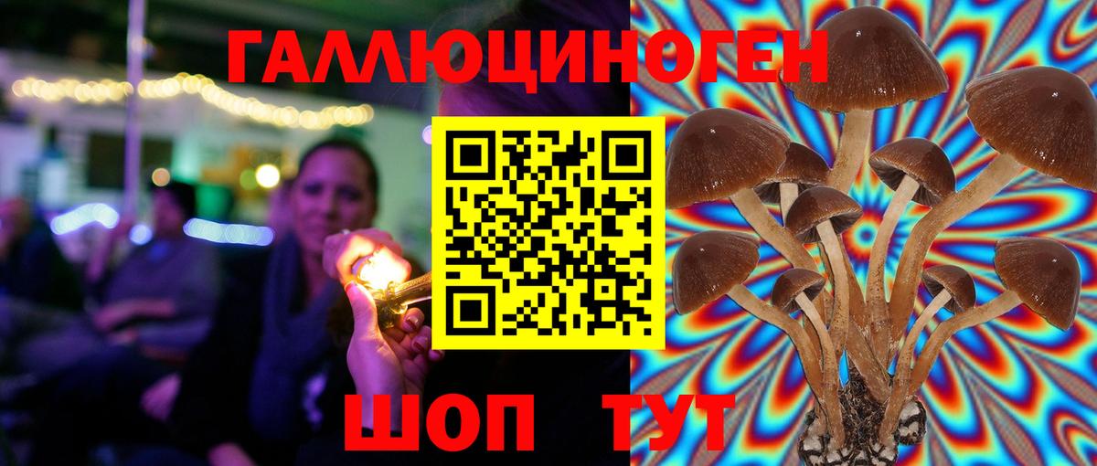 Галлюциногенные грибы прущие грибы  Галлюциногенные грибы Psilocybine cubensis  Вход с VPN  Чусовой 